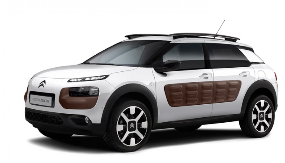 C4 Cactus